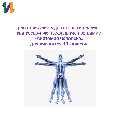 Изучать богатый внутренний мир: не пропустите регистрацию на первую программу «Интеллекта» по анатомии Изучать богатый внутренний мир: не пропустите регистрацию на первую программу «Интеллекта» по анатомии