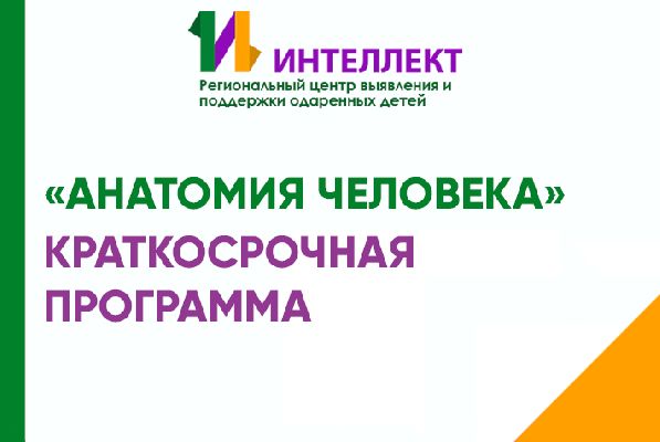 Вниманию учащихся 10-х классов! Объявляется набор на профильную программу по биологии «Анатомия человека»! Вниманию учащихся 10-х классов! Объявляется набор на профильную программу по биологии «Анатомия человека»!