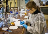 IMG_0826.jpg